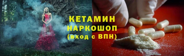 стафф Дмитриев