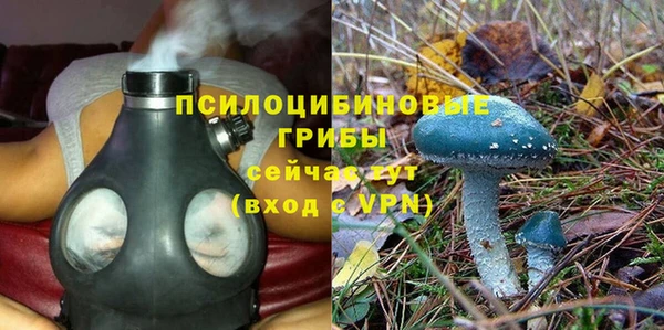 стафф Дмитриев