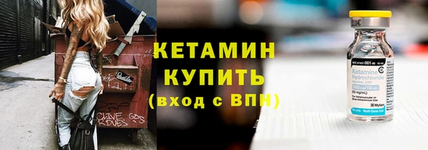 шишки Дмитровск