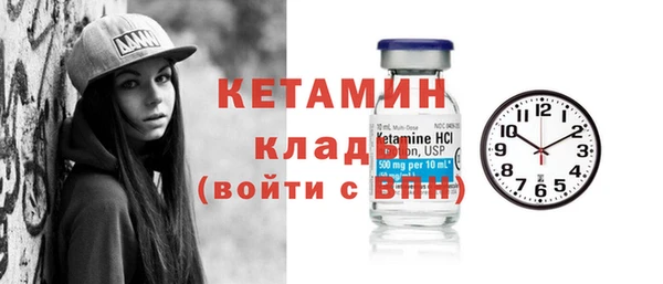 шишки Дмитровск