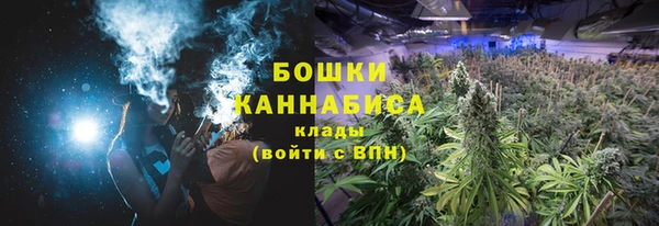 шишки Дмитровск