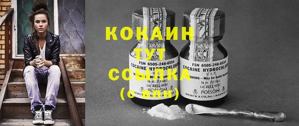 стафф Дмитриев