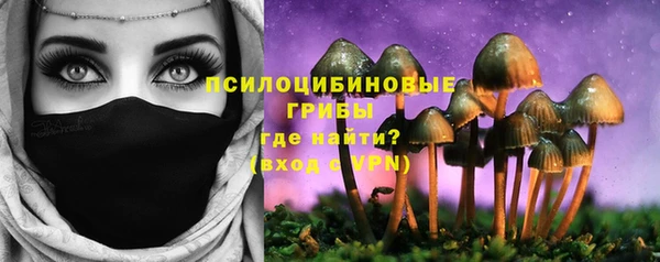 Альфа ПВП Дмитров