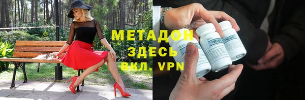 шишки Дмитровск