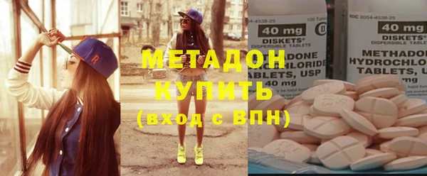 шишки Дмитровск