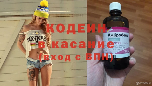 стафф Дмитриев