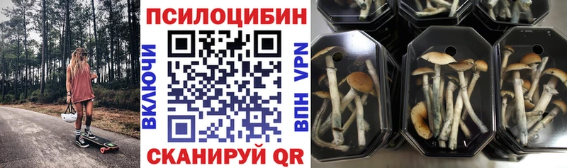 цена   Ефремов  hydra вход  Галлюциногенные грибы GOLDEN TEACHER 