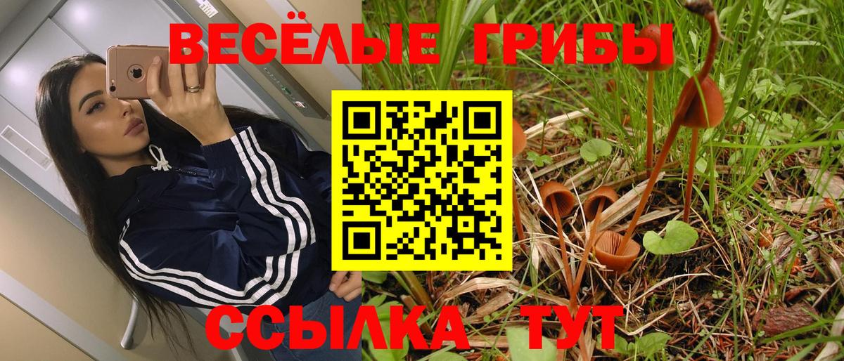 Галлюциногенные грибы Psilocybe  Вход с VPN  Ефремов 
